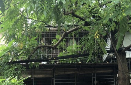 CHO THUÊ NHÀ NGÕ Ô TÔ ĐẶNG VĂN NGỮ, KD HÀNG ĂN, CÀ PHÊ, BẤT CHẤP MỌI LOẠI HÌNH, 110M2